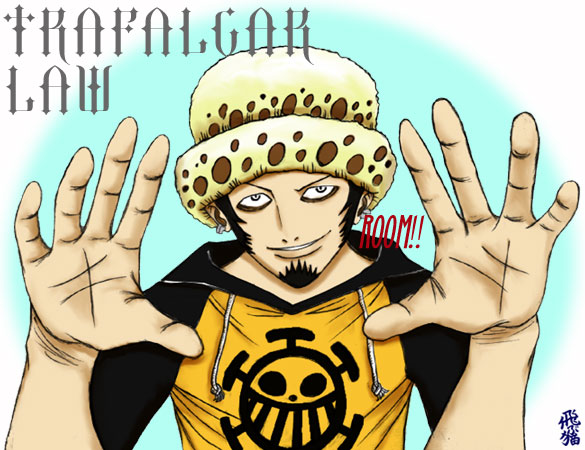 アニメ ワンピース に大興奮 飛ぶ猫のらくがき帳